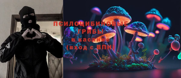 дживик Арсеньев