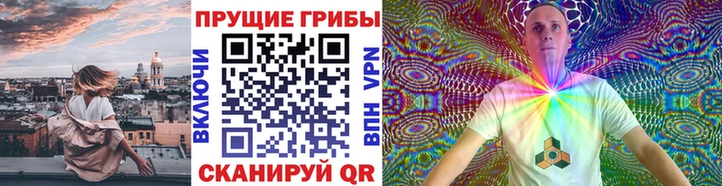 наркотики  Макушино  Галлюциногенные грибы Psilocybine cubensis 